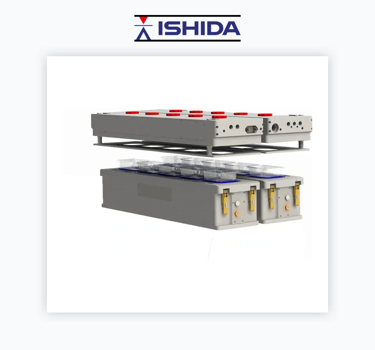 Ishida QX-1100-Flex Tray Sealer